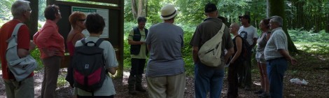 Visite guidée en forêt de Crécy