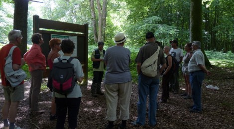 Visite guidée en forêt de Crécy