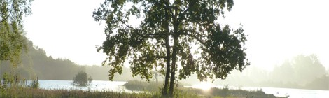 Découverte du Marais de la Maye