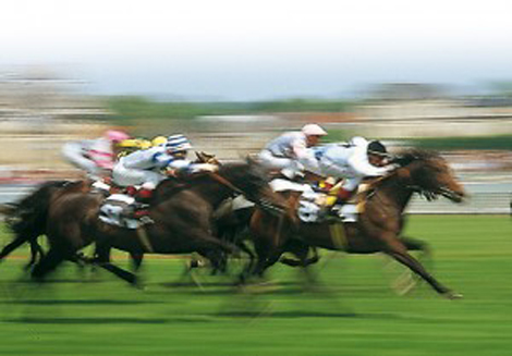 berck_course_hippique