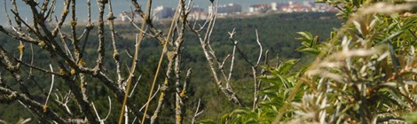 Sortie nature dans les parties privées du mont saint frieux