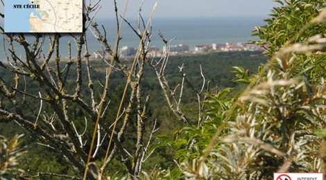Sortie nature dans les parties privées du mont saint frieux