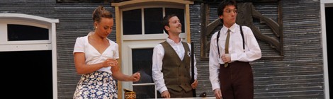 Théâtre sous les étoiles "Monsieur Chasse"