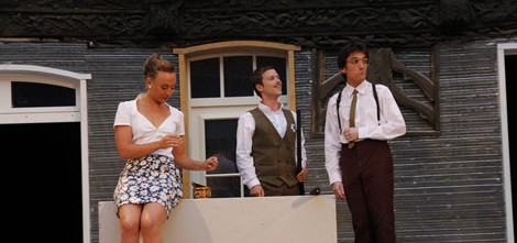 Théâtre sous les étoiles "Monsieur Chasse"