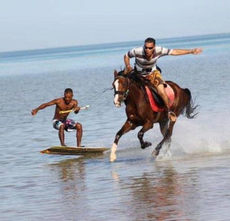 touquet horse wakeboard