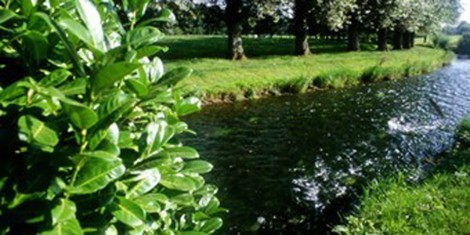 Journée mycologique