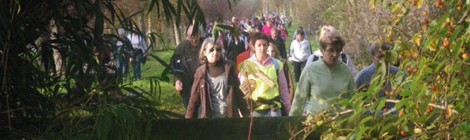 Marche jusqu’à Gouy Saint André