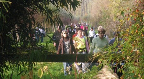 Marche jusqu’à Gouy Saint André