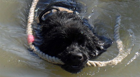 Démonstration des Terres Neuves Sportifs