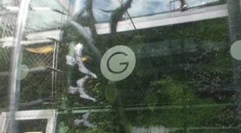 Invitations d’artistes : Collectif C’est tout un art