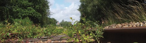 Invitations d’artistes : Collectif C’est tout un art