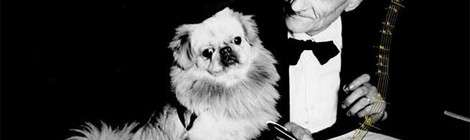 Exposition en hommage à Albert Laurent