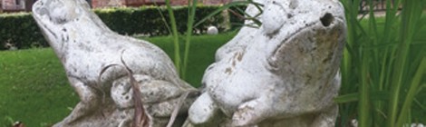 Invitations d’artistes : Collectif C’est tout un art