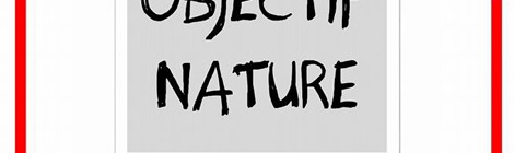 Festival Hesdin Photo