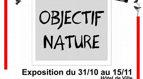 Festival Hesdin Photo