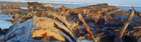 Le Naufrage du Socotra... 100 ans déjà...