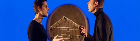 Spectacle "La conférence des oiseaux"