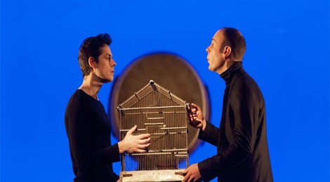 Spectacle "La conférence des oiseaux"