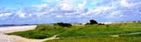 Randonnée des Loups Phoques Cayolais