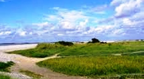 Randonnée des Loups Phoques Cayolais