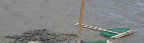 Balade nature "Découvrons la pêche à pied"