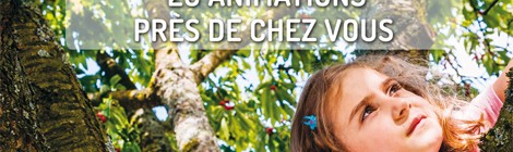 Festival de l’Arbre.