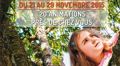 Festival de l’Arbre.