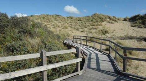 VISITE GUIDÉE DU SENTIER DÉCOUVERTE