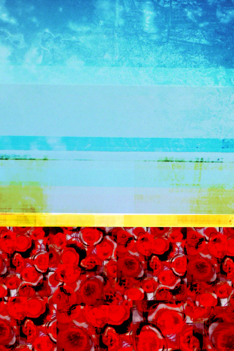 abbeville expo Nik Mimms2