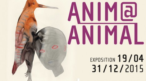 Visite-ateliers jeune public autour de l’exposition "anima@animal".