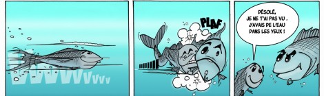 Atelier "bande dessinée maritime"