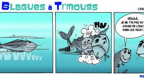 Atelier "bande dessinée maritime"