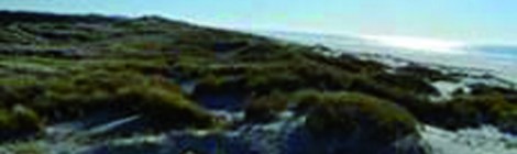 Balade nature " La baie d'Authie : frontière naturelle "