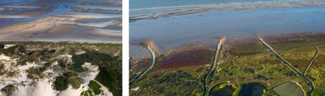 Littoral, 40 ans de merveilles préservées