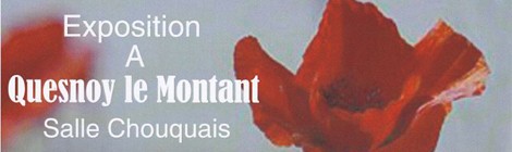 Commémoration de la Grande Guerre 14-18 dans la Somme