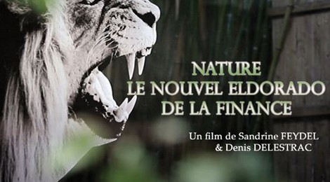 Nature, le nouvel eldorado de la finance