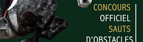 Concours de sauts d'obstacles
