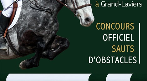 Concours de sauts d'obstacles