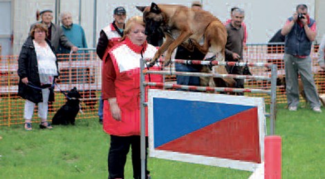 CONCOURS DE CHIENS D’UTILITÉ ET D'OBÉISSANCE