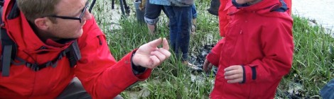 Découverte "Pêche à pied"