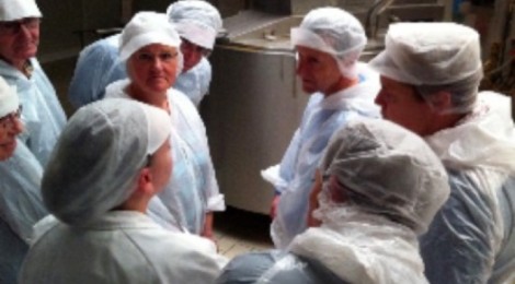 Visite découverte : visite commentée d’une usine de transformation de poisson