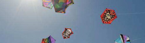 CERFS-VOLANTS ACROBATIQUES