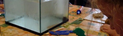 Atelier en famille : je sculpte mon poisson