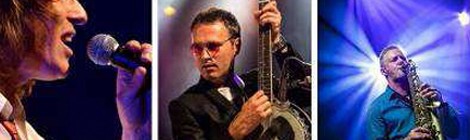 Les Goldmen en concert