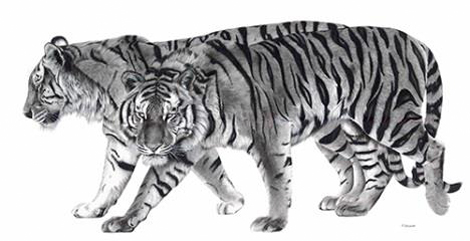 abbeville François GRUSON