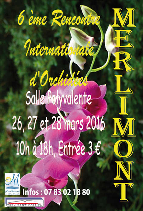 merlimont_okk_quart_mars2016