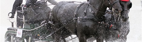 Marathon d’Attelages