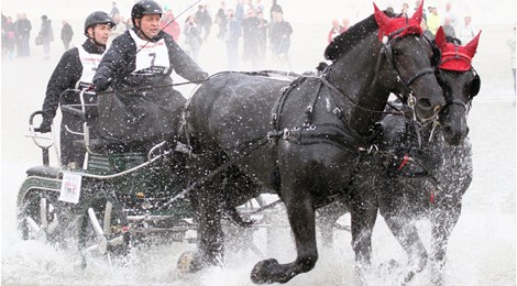 Marathon d’Attelages