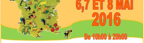 Marché « Terroir et artisanat »