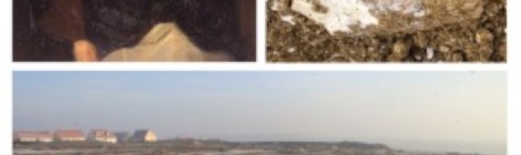 Conférences autour de Napoléon